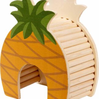 Gnaverhus Ananas