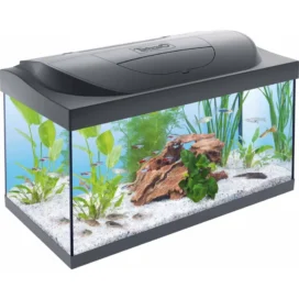 Tetra Starter Line Led Svart 54l - Billede 1