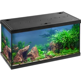 Eheim Aquastar 54l Led Sort Komplet
