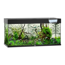 Juwel Akvarium Led Rio 180 Sort
