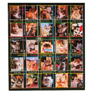Antos Advents Calendar Cat
